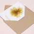 Floral Mix Greeting Card Set